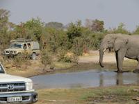 Elefantenbeobachtung &ndash; &copy; Kathrin Mickan (Eberhardt TRAVEL)