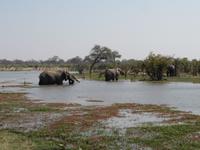 Elefanten beim baden &ndash; &copy; Kathrin Mickan (Eberhardt TRAVEL)
