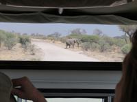 Game Drive &ndash; &copy; Kathrin Mickan (Eberhardt TRAVEL)
