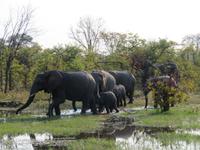 Elefantenfamilie &ndash; &copy; Kathrin Mickan (Eberhardt TRAVEL)