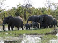 Elefantenfamilie &ndash; &copy; Kathrin Mickan (Eberhardt TRAVEL)