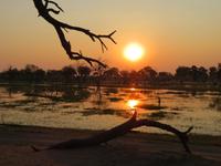 Sonnenuntergang am Khwai Fluß &ndash; &copy; Kathrin Mickan (Eberhardt TRAVEL)