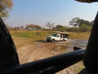 Moremi Reservat  &ndash; &copy; Kathrin Mickan (Eberhardt TRAVEL)
