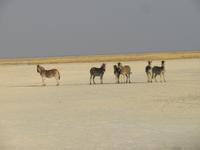 &copy; Kathrin Mickan (Eberhardt TRAVEL)