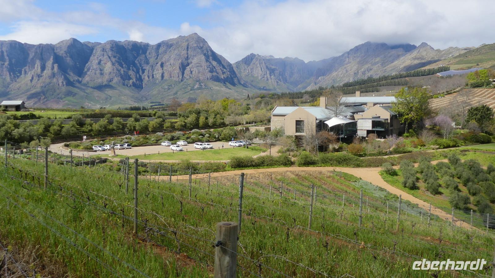 Weingut Tokara &ndash; &copy; Frank Nimschowski (Eberhardt TRAVEL)