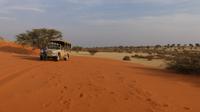 Kalahari Anib Lodge, game drive &ndash; &copy; Frank Nimschowski (Eberhardt TRAVEL)