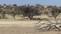 Torgos Safari Lodge, Wanderung &ndash; &copy; Frank Nimschowski (Eberhardt TRAVEL)