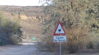 Schild hintern Canyon Roadhouse &ndash; &copy; Frank Nimschowski (Eberhardt TRAVEL)
