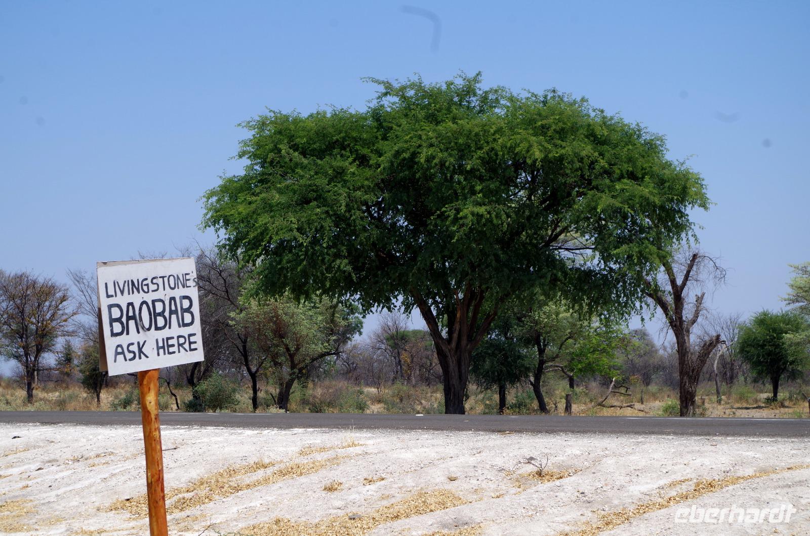 Unterwegs im Caprivizipfel - auf den Spuren von David Livingstone &ndash; &copy; Annett Müller (Eberhardt TRAVEL)