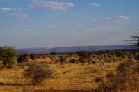 Okonjati Wildreservat &ndash; &copy; Annett Müller (Eberhardt TRAVEL)