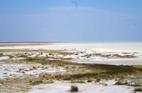 Etosha-Nationalpark - Pfanne &ndash; &copy; Annett Müller (Eberhardt TRAVEL)