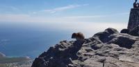 Kapstadt - Tafelberg &ndash; &copy; Jacob Spangenberg (Eberhardt TRAVEL)