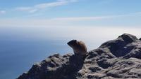 Kapstadt - Tafelberg &ndash; &copy; Jacob Spangenberg (Eberhardt TRAVEL)