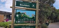 Boulders Beach &ndash; &copy; Jacob Spangenberg (Eberhardt TRAVEL)