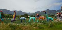 Rundfahrt durch Stellenbosch