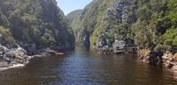 Spaziergang durch den Tsitsikamma Nationalpark &ndash; &copy; Jacob Spangenberg (Eberhardt TRAVEL)