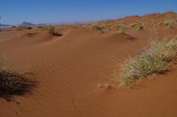 Ausflug ins Sossusvlei &ndash; &copy; Annett Müller (Eberhardt TRAVEL)