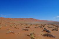 Ausflug ins Sossusvlei  &ndash; &copy; Annett Müller (Eberhardt TRAVEL)