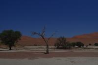 Sossusvlei -  Lehmsenke &ndash; &copy; Annett Müller (Eberhardt TRAVEL)