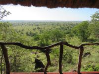 Serengeti - Serengeti-Simba-Lodge &ndash; &copy; Annette Weise (Eberhardt TRAVEL)