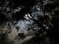 Moivaro Coffee Plantation  Lodge - mystische  Wolkenspiele &ndash; &copy; Annette Weise (Eberhardt TRAVEL)