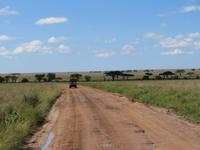Serengeti &ndash; &copy; Annette Weise (Eberhardt TRAVEL)