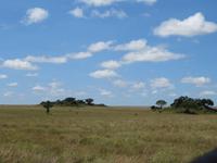 Serengeti &ndash; &copy; Annette Weise (Eberhardt TRAVEL)