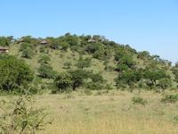 Serengeti - Serengeti-Simba-Lodge &ndash; &copy; Annette Weise (Eberhardt TRAVEL)