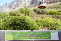 Tafelberg &ndash; &copy; Susanne Schirmann (Eberhardt TRAVEL)