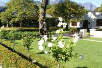 Franschhoek (3) &ndash; &copy; Susanne Schirmann (Eberhardt TRAVEL)