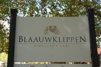 Blaauwklippen Weingut (3) &ndash; &copy; Susanne Schirmann (Eberhardt TRAVEL)