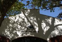Blaauwklippen Weingut (4) &ndash; &copy; Susanne Schirmann (Eberhardt TRAVEL)