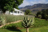 Swartberg Country Manor (6) &ndash; &copy; Susanne Schirmann (Eberhardt TRAVEL)