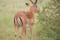 African Mc Donald's &ndash; &copy; Susanne Schirmann (Eberhardt TRAVEL)