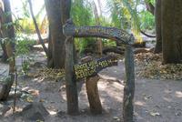 Victoria Falls (8) &ndash; &copy; Susanne Schirmann (Eberhardt TRAVEL)