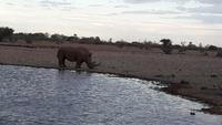 Lapa Lange Nashorn &ndash; &copy; Kathrin Mickan (Eberhardt TRAVEL)
