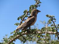Picknikbesucher &ndash; &copy; Kathrin Mickan (Eberhardt TRAVEL)