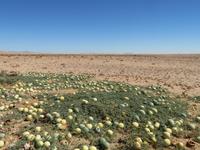 IMG 0260 &ndash; &copy; Kathrin Mickan (Eberhardt TRAVEL)