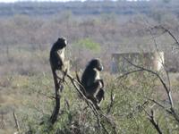 IMG 0433 &ndash; &copy; Kathrin Mickan (Eberhardt TRAVEL)