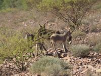 IMG 0441 &ndash; &copy; Kathrin Mickan (Eberhardt TRAVEL)
