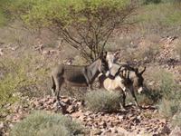 IMG 0442 &ndash; &copy; Kathrin Mickan (Eberhardt TRAVEL)