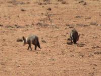 IMG 0446 &ndash; &copy; Kathrin Mickan (Eberhardt TRAVEL)