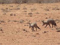 IMG 0448 &ndash; &copy; Kathrin Mickan (Eberhardt TRAVEL)