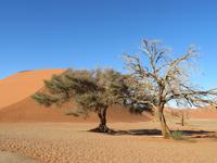 IMG 0582 &ndash; &copy; Kathrin Mickan (Eberhardt TRAVEL)