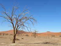 IMG 0587 &ndash; &copy; Kathrin Mickan (Eberhardt TRAVEL)