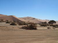IMG 0589