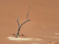 IMG 0607 &ndash; &copy; Kathrin Mickan (Eberhardt TRAVEL)