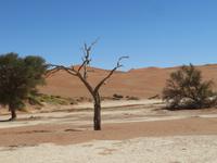 IMG 0619 &ndash; &copy; Kathrin Mickan (Eberhardt TRAVEL)