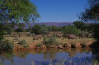 Okanjati Game Reserve &ndash; &copy; Annett Müller (Eberhardt TRAVEL)