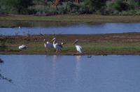 Okanjati Game Reserve &ndash; &copy; Annett Müller (Eberhardt TRAVEL)